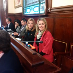 Ciudadanos (C’s) de Castellón logra que la Diputación apruebe pedir al Consell que financie la lucha contra las plagas