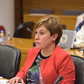 Ventura aboga por combatir la desinformación sobre el TEA para avanzar en el diagnóstico y el tratamiento