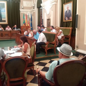 PRIMER PLENO VIDAL PORTAVOZ