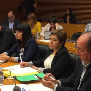 C’s critica “el tinte ideológico de los presupuestos de Marzà” y “la desatención de las demandas sociales en Educación”