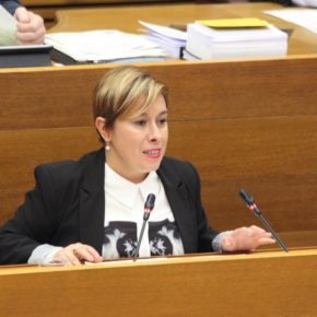 Cs interpelará a Montón sobre la precarización de los hospitales de Castellón Cs interpelará a Montón sobre la precarización de los hospitales de Castellón