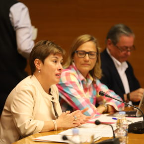 El Consell revisará los contratos y reforzará los medios en nefrología pediátrica tras la propuesta de Cs