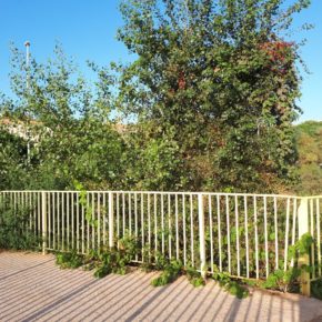 Ciudadanos (Cs) de Vila-real insiste en limpiar el entorno del Molí La Vila Ciudadanos (Cs) de Vila-real insiste en limpiar el entorno del Molí La Vila
