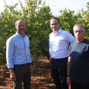 Cs apuesta por desarrollar un Plan Estratégico para modernizar y reconvertir el sector agrícola Cs apuesta por desarrollar un Plan Estratégico para modernizar y reconvertir el sector agrícola